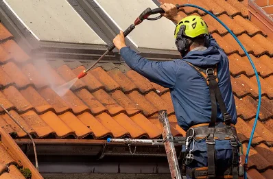 Démoussage et hydrofuge de toiture à Pliboux